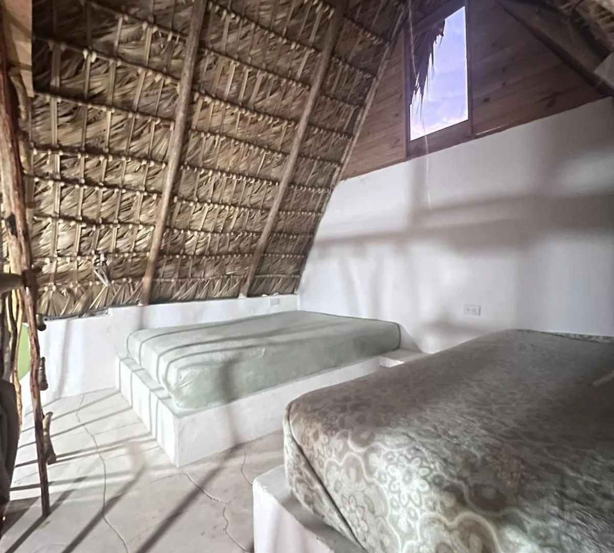 Jaktstuga Blue Beach Eco-Hotel By Sanfabini Bayahibe Dominikanska republiken