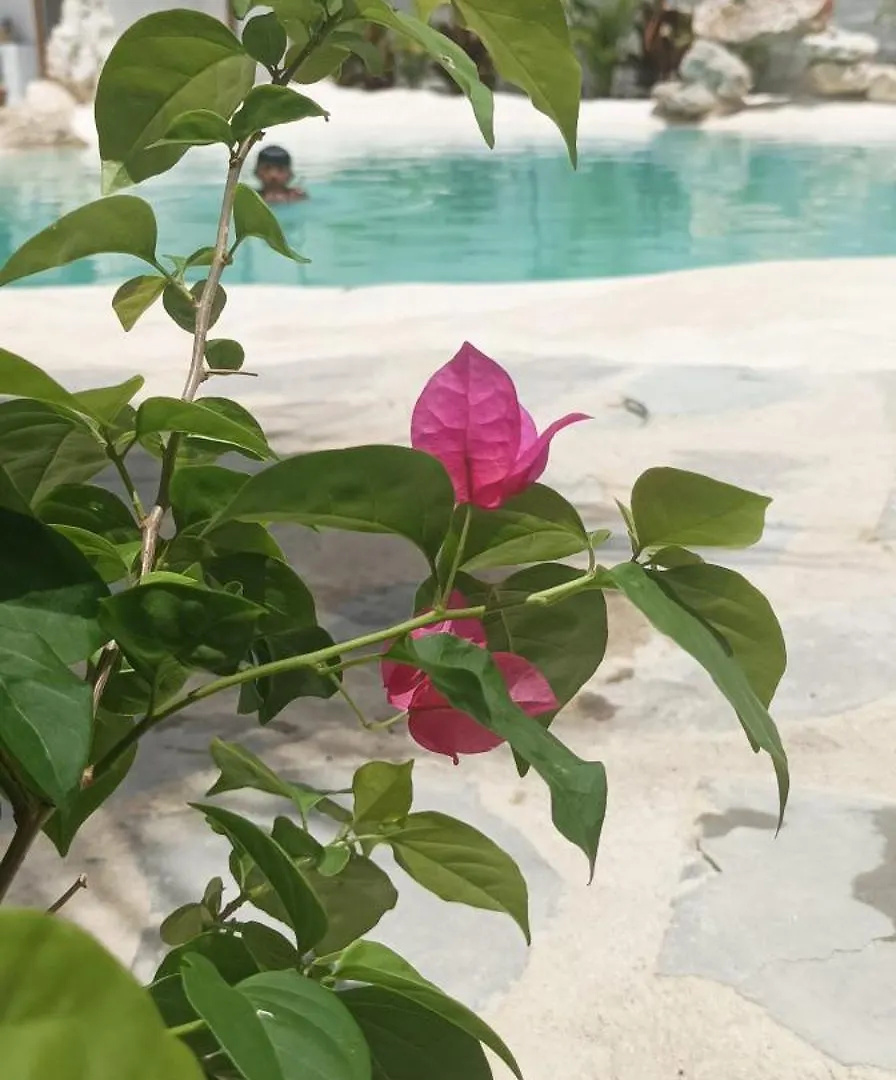 Blue Beach Eco-Hotel By Sanfabini Bayahibe Dominikanska republiken